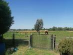 weide te huur Breendonk, Dieren en Toebehoren