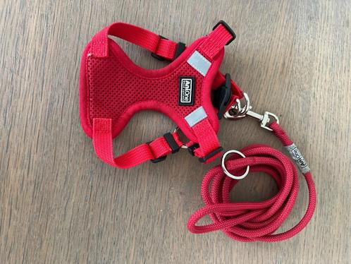 Puppyspulletjes, Dieren en Toebehoren, Overige Dieren-accessoires, Zo goed als nieuw, Ophalen