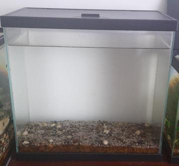 Het aquarium van 20 l met deksel beschikbaar voor biedingen