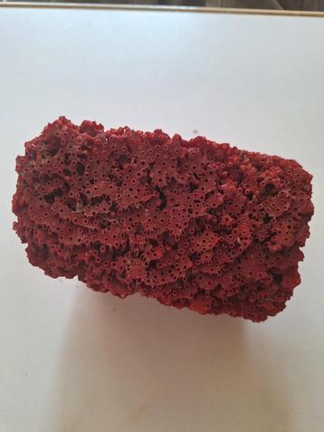 Corail, Enlèvement ou Envoi, Autres types