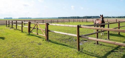 GEZOCHT! Weide in Hechtel-Eksel, Dieren en Toebehoren, Stalling en Weidegang