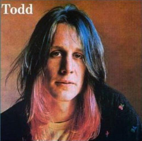 TODD RUNDGREN - TODD, Cd's en Dvd's, Vinyl | Rock, Gebruikt, Rock-'n-Roll, Verzenden