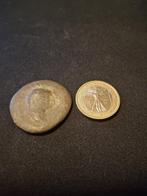 anonieme keizer (Vespasianus?)  Type: Bronzen AE As, Ophalen of Verzenden, Overige landen, Losse munt