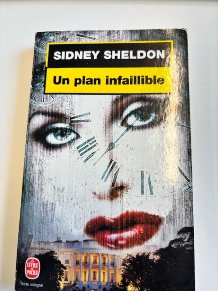 Un plan infaillible (Sidney Sheldon), Boeken, Thrillers, Ophalen of Verzenden