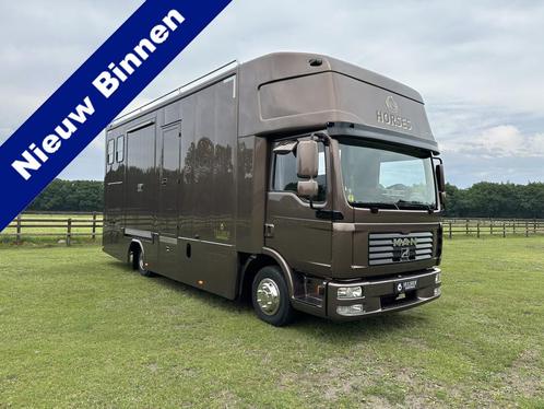 MAN TGL 7.5T 4-paards paardenvrachtwagen LIVING Marge, Auto's, Vrachtwagens, ABS, Achteruitrijcamera, Centrale vergrendeling, Dakrails