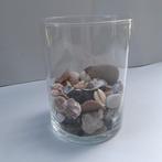 Glazen buisvaas met collectie schelpen., Ophalen of Verzenden, Zo goed als nieuw