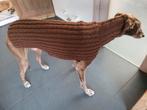 tricot pour chien, Animaux & Accessoires, Vêtements pour chiens, Envoi, Neuf, Pull pour chien