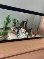 Mooie visbokaal, Dieren en Toebehoren, Ophalen, Gebruikt, Verlichting