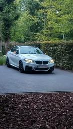 BMW 220i automaat, Auto's, BMW, Automaat, Achterwielaandrijving, 2 Reeks, Leder