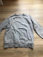 Trui, Kleding | Dames, Truien en Vesten, Zara, Ophalen, Zo goed als nieuw, Grijs