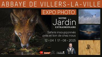 2 E-Tickets pour l’Abbaye de Villers-La-Ville beschikbaar voor biedingen