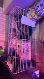 mooie lieve konijntjes 3 maand met kooi etene n toebehoren, Enlèvement ou Envoi, Comme neuf, Cage