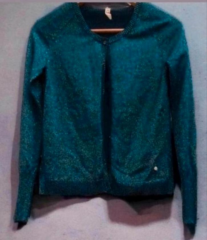 ✨️CKS Glitter Vestje Maat 34/36 - Met BUNDELKORTING‼️✨️, Kleding | Dames, Truien en Vesten, Zo goed als nieuw, Maat 36 (S), Blauw