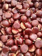 Verse kastanjes, Tuin en Terras, Planten | Fruitbomen, Ophalen