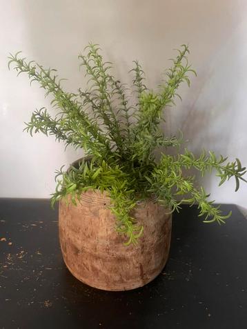 Houten Nepalese pot beschikbaar voor biedingen