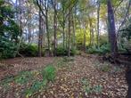 Bosgrond te koop – 1151 m² – Poederlee, Immo, Provincie Antwerpen