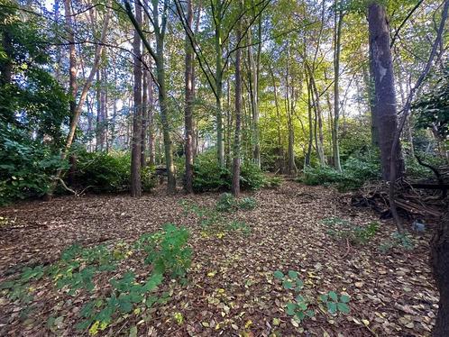 Bosgrond te koop – 1151 m² – Poederlee, Immo, Buitenverblijven te koop, Provincie Antwerpen