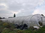 Serre - tunnelserre, Zakelijke goederen, Landbouw | Werktuigen, Ophalen, Overige typen