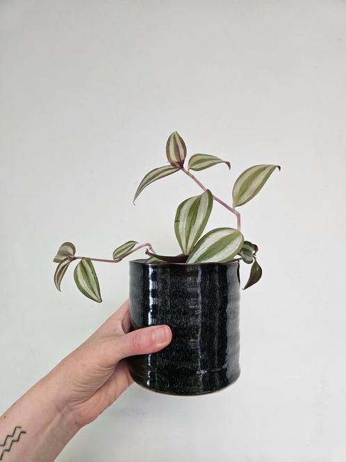 Bloempot / cachepot, Huis en Inrichting, Woonaccessoires | Vazen, Zo goed als nieuw, Blauw, Minder dan 50 cm, Ophalen of Verzenden