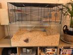 Terrarium voor gerbils/knaagdieren, Dieren en Toebehoren, Ophalen, Zo goed als nieuw, Kooi