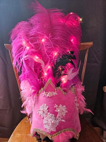 Carnavalkleren roos voor man vrouw en kinderen beschikbaar voor biedingen