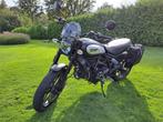 Prachtige Ducati Scrambler 800, Motos, Motos | Ducati, Naked bike, Particulier, 2 cylindres, Plus de 35 kW