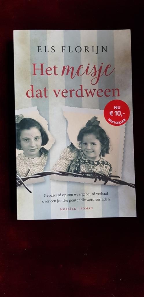 Els Florijn - Het meisje dat verdween, Livres, Littérature, Comme neuf, Pays-Bas, Enlèvement ou Envoi