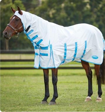 Sweet itch  beschikbaar voor biedingen