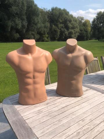 Mannequins - bustes homme beschikbaar voor biedingen