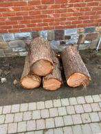 Dennen hout, Tuin en Terras, Brandhout, Ophalen