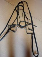 hoofdstel voor paard, Ophalen, Gebruikt