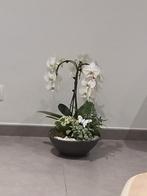 orchidee a 3 branche 50 cm hauteur