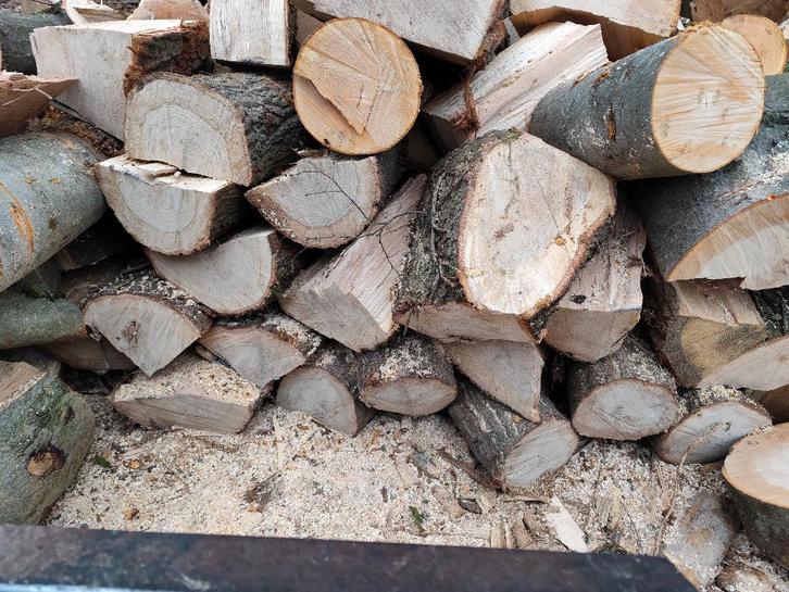 brandhout Eik& Beuk, Jardin & Terrasse, Bois de chauffage, Bûches, Hêtre, 6 m³ ou plus, Envoi