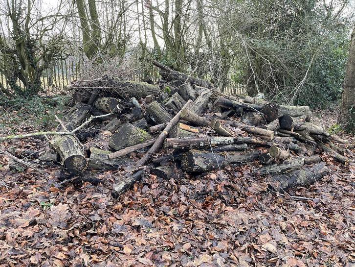 Bois de chauffage coupé et non coupé & briques/pavés, Jardin & Terrasse, Bois de chauffage, Bûches, Autres essences de bois, 6 m³ ou plus