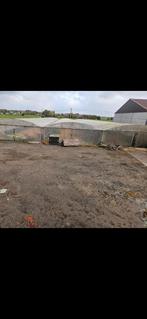 droogserre, serres, Zakelijke goederen, Landbouw | Aardappelen, Groenten, Fruit en Vlees, Ophalen