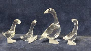 Swarovski - familie van 4 ganzen beschikbaar voor biedingen