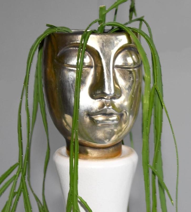 Face-2-face met Lepismium Boliviana, Tuin en Terras, Bloempotten, Zo goed als nieuw, Aardewerk, Binnen, Minder dan 40 cm, Minder dan 25 cm