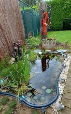 Vijver 1000 liter, Enlèvement