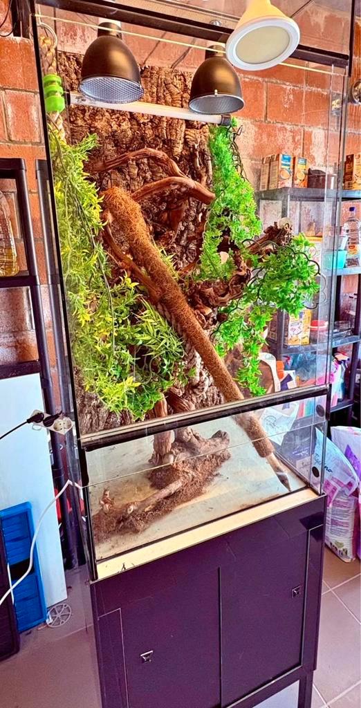 Vivarium/glazen terrarium op meubilair, Dieren en Toebehoren, Reptielen en Amfibieën | Toebehoren, Zo goed als nieuw, Ophalen