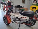 Suzuki RV50, Motoren, Motoren | Oldtimers, Scooter, 49 cc, 11 kW of minder, 1 cilinder