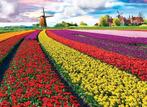 Puzzel „Tulip Fields” van 1000 stukjes (68 x 48 cm), Ophalen of Verzenden, 500 t/m 1500 stukjes, Zo goed als nieuw, Legpuzzel