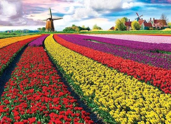 Puzzel „Tulip Fields” van 1000 stukjes (68 x 48 cm), Hobby en Vrije tijd, Denksport en Puzzels, Zo goed als nieuw, Legpuzzel, 500 t/m 1500 stukjes