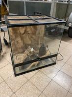 Mooi terrarium, Ophalen