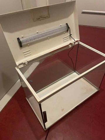 kleine aquarium beschikbaar voor biedingen