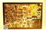 Puzzel - Animal Faces - 1000 stukjes, Ophalen, 500 t/m 1500 stukjes, Zo goed als nieuw, Legpuzzel