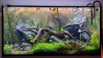 Prachtig en zeer compleet Aquarium 120x50x60  beschikbaar voor biedingen