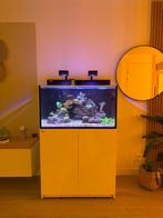 Aquarium marin Red Sea Max Nano G2 XXL., Animaux & Accessoires, Poissons | Aquariums & Accessoires, Enlèvement, Comme neuf, Aquarium vide