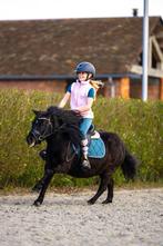 Knappe gereden shetlander merrie, Dieren en Toebehoren, Pony's, Zadelmak, A pony (tot 1.17m), 3 tot 6 jaar, Recreatiepony