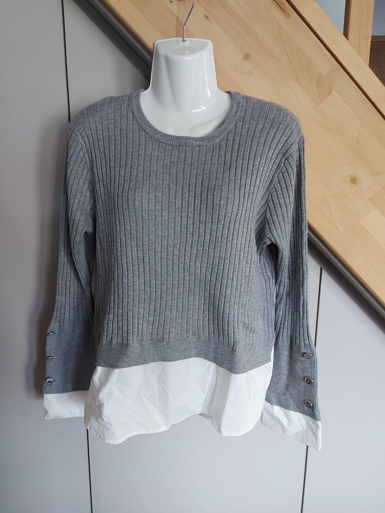 Pull chemise, Kleding | Dames, Truien en Vesten, Ophalen of Verzenden, Grijs