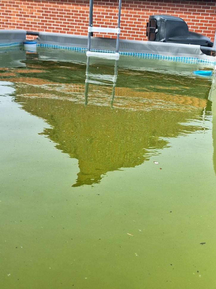 Piscine Intex, Jardin & Terrasse, Piscines, Enlèvement